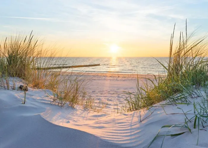 Seeduene アパート ロストック